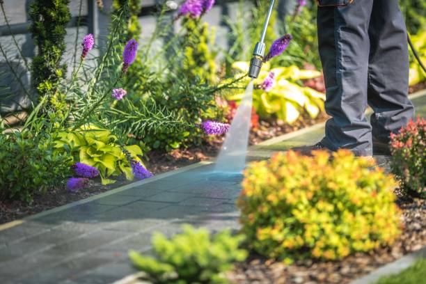 Best Sign and Awning Cleaning  in Ferndale, CA