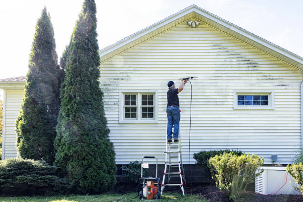 Best Fence Cleaning  in Ferndale, CA